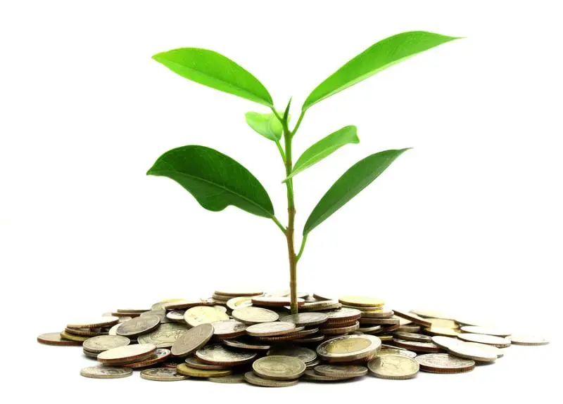 Инвестиции SKF в сохранение экологии | Свежие новости в Твери