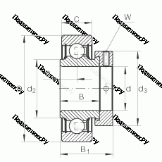 Подшипник RAE 20-NPP-FA 106 в Твери